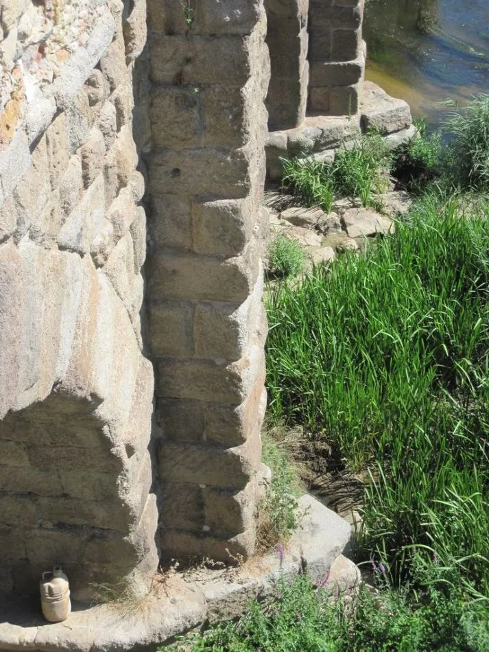 Foto 8 - Piden la limpieza de la vegetaci&oacute;n que crece sobre los monumentos salmantinos