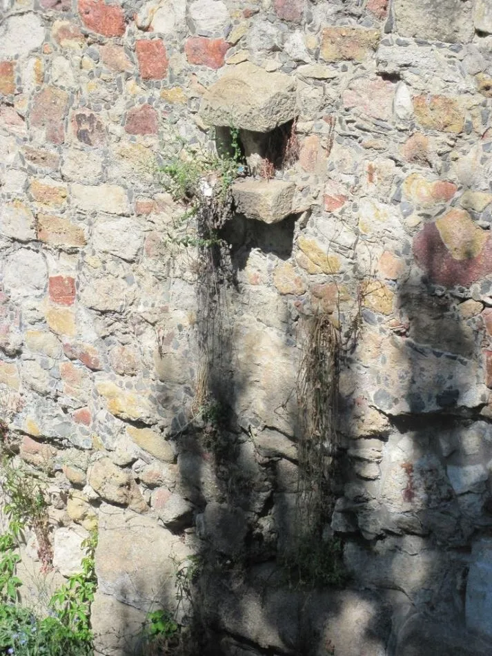 Foto 6 - Piden la limpieza de la vegetaci&oacute;n que crece sobre los monumentos salmantinos