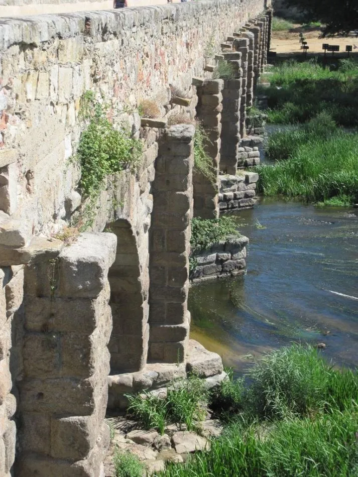Foto 5 - Piden la limpieza de la vegetaci&oacute;n que crece sobre los monumentos salmantinos