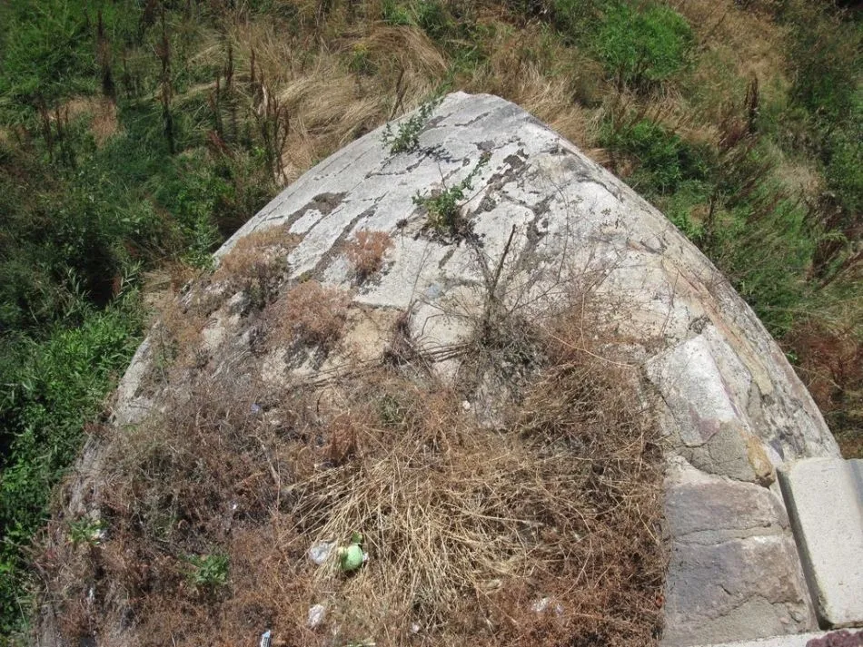Foto 3 - Piden la limpieza de la vegetaci&oacute;n que crece sobre los monumentos salmantinos