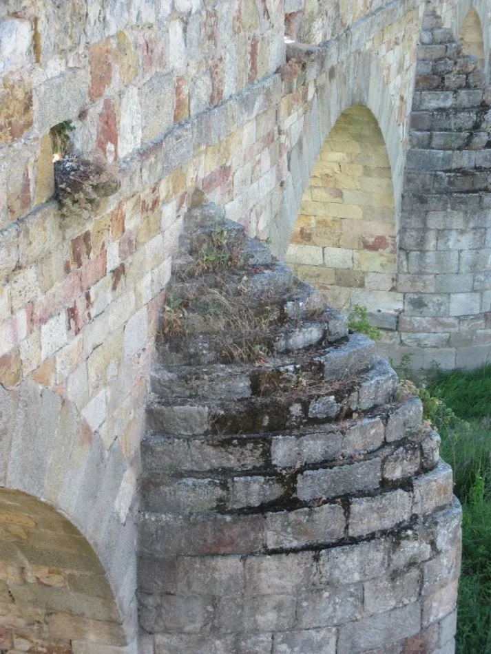 Foto 2 - Piden la limpieza de la vegetaci&oacute;n que crece sobre los monumentos salmantinos