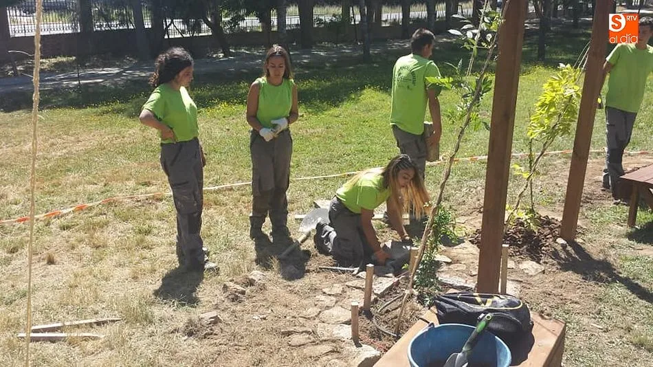 Foto 3 - El taller de empleo del parque de La Dehesa se acerca a su final