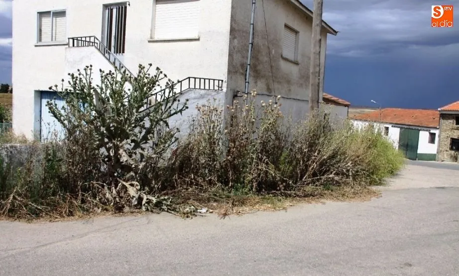 Estado actual de Amatos de Alba y Torrejón de Alba