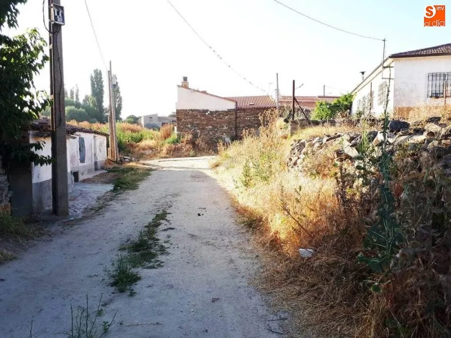 Foto 10 - El Partido Popular solicita el desbroce de las hierbas en Amatos y Torrej&oacute;n de Alba