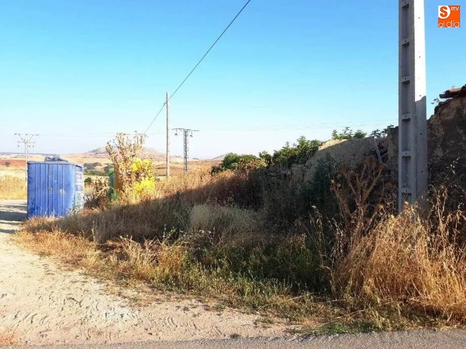 Foto 7 - El Partido Popular solicita el desbroce de las hierbas en Amatos y Torrej&oacute;n de Alba