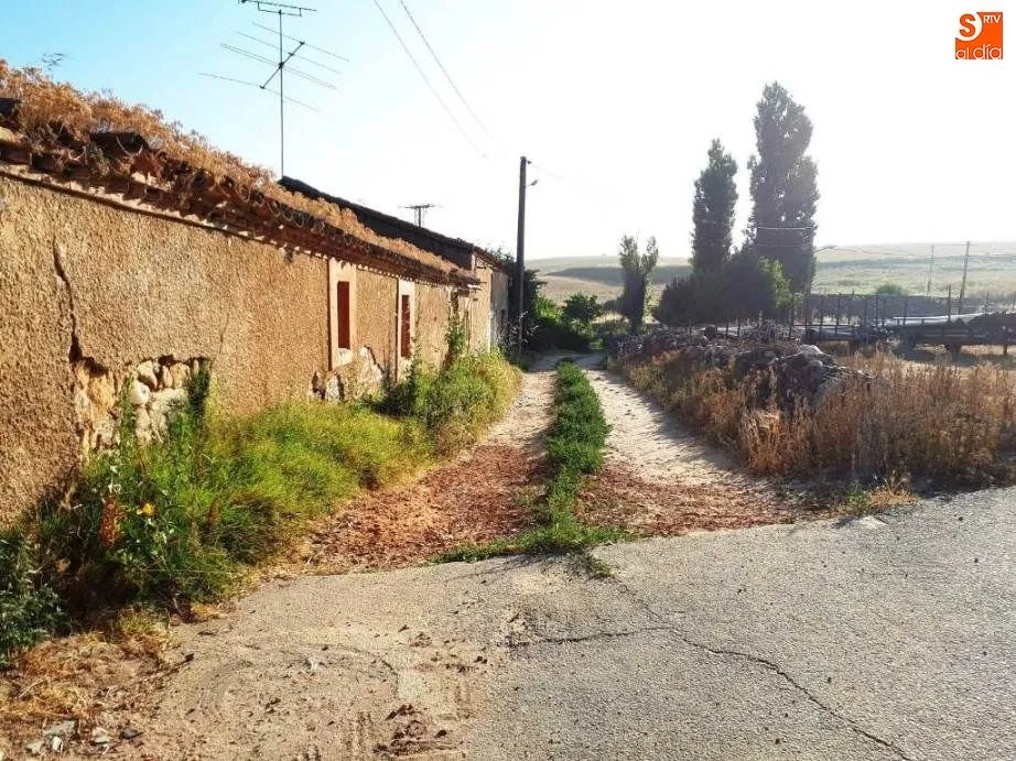 Foto 5 - El Partido Popular solicita el desbroce de las hierbas en Amatos y Torrej&oacute;n de Alba