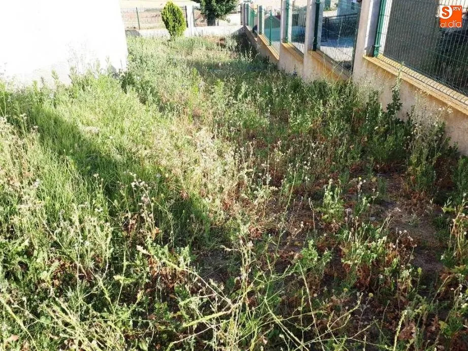 Foto 3 - El Partido Popular solicita el desbroce de las hierbas en Amatos y Torrej&oacute;n de Alba