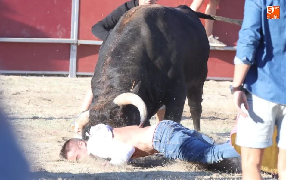 Momento en el que resulta corneado en la espalda. Fotos: Alberto Martín