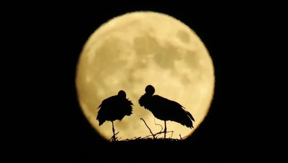 Foto 2 - La Luna Roja a trav&eacute;s de la mirada de Juli&aacute;n Mateos  