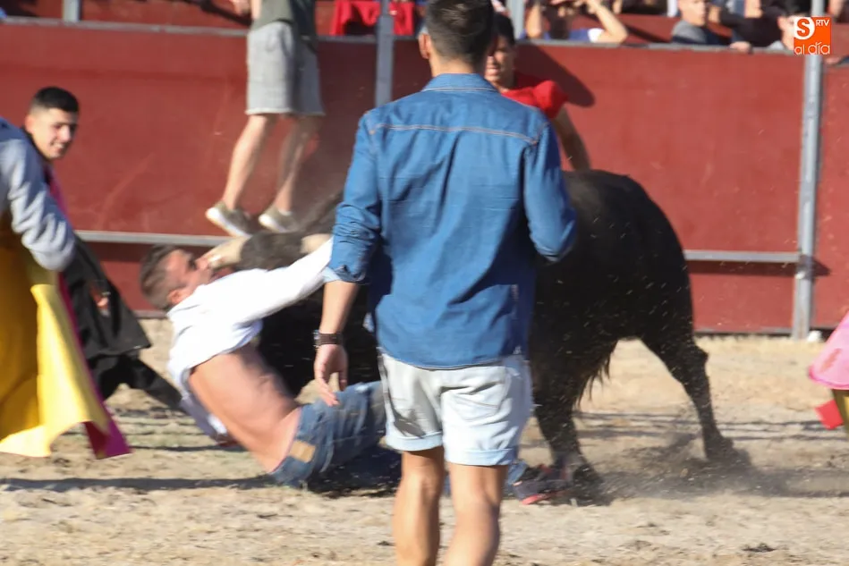 Foto 9 - Corneado de gravedad un joven de 25 a&ntilde;os en el Toro del Aguardiente de Santa Marta