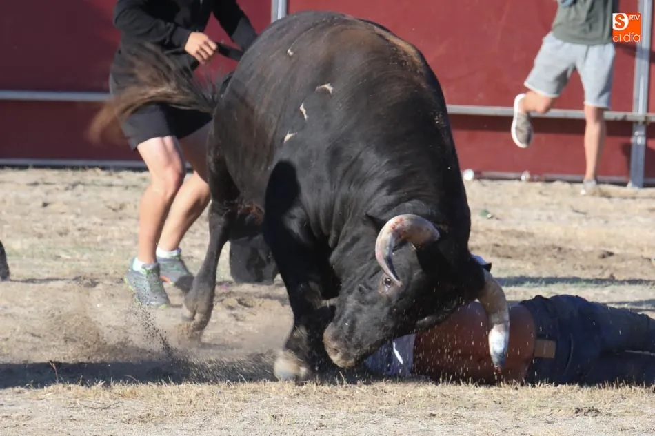 Foto 8 - Corneado de gravedad un joven de 25 a&ntilde;os en el Toro del Aguardiente de Santa Marta
