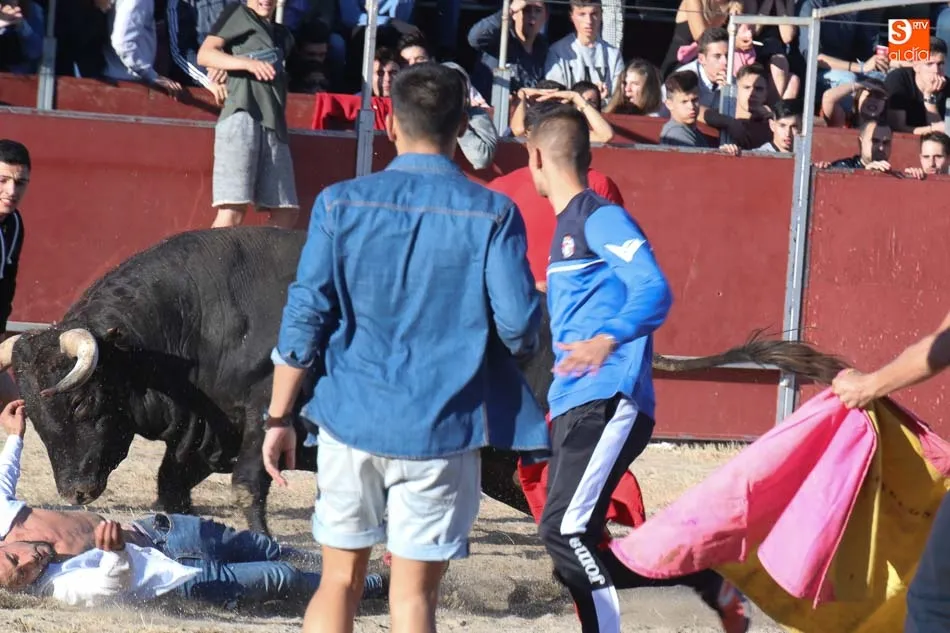 Foto 7 - Corneado de gravedad un joven de 25 a&ntilde;os en el Toro del Aguardiente de Santa Marta