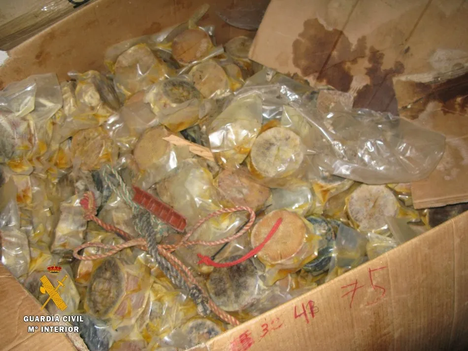 Foto 3 - La Guardia Civil inmoviliza en La Alberca una tonelada de productos ib&eacute;ricos y l&aacute;cteos con riesgo ...