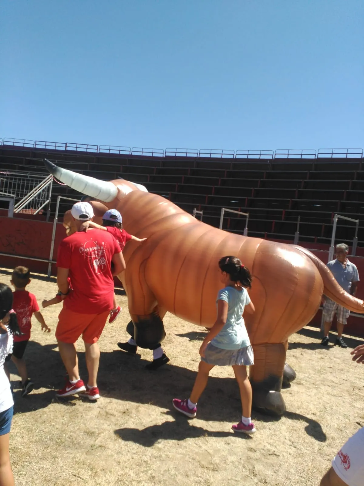 Foto 2 - Divertido encierro taurino infantil en la &uacute;ltima jornada festiva de Santa Marta