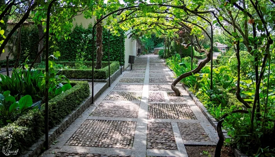 Los caminos del amor