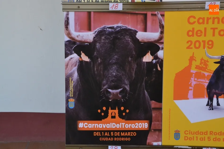 Foto 3 - S&oacute;lo 12 carteles optan por el momento a anunciar el Carnaval del Toro 2019  