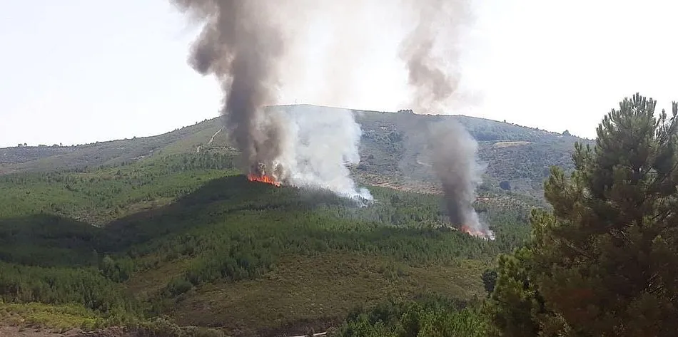 Foto 2 - Medios a&eacute;reos y terrestres trabajan para sofocar un incendio en Pinofranqueado