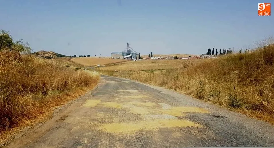 El Ayuntamiento bacheó la carretera de Amatos durante la mañana de hoy