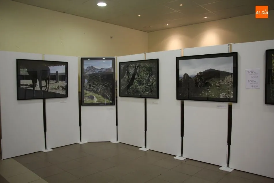 Foto 4 - Ma&ntilde;ana, &uacute;ltimo d&iacute;a para visitar la exposici&oacute;n &lsquo;B&eacute;jar y Francia: Oleaje de Sierras&rsquo;  
