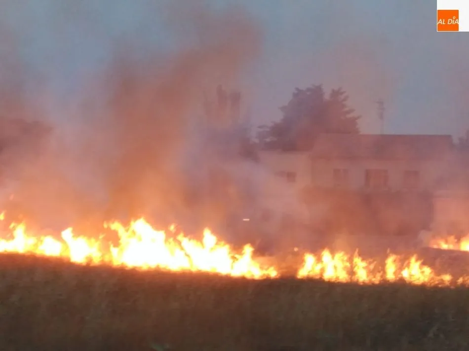 Foto 8 - Espectacular incendio al arder un veh&iacute;culo y traspasar el fuego a matorrales en la carretera de...