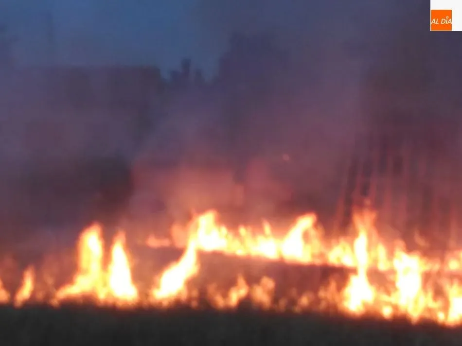 Foto 7 - Espectacular incendio al arder un veh&iacute;culo y traspasar el fuego a matorrales en la carretera de...