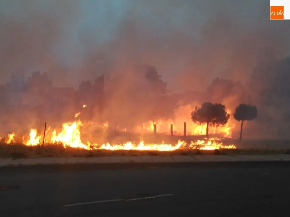 Foto 6 - Espectacular incendio al arder un veh&iacute;culo y traspasar el fuego a matorrales en la carretera de...