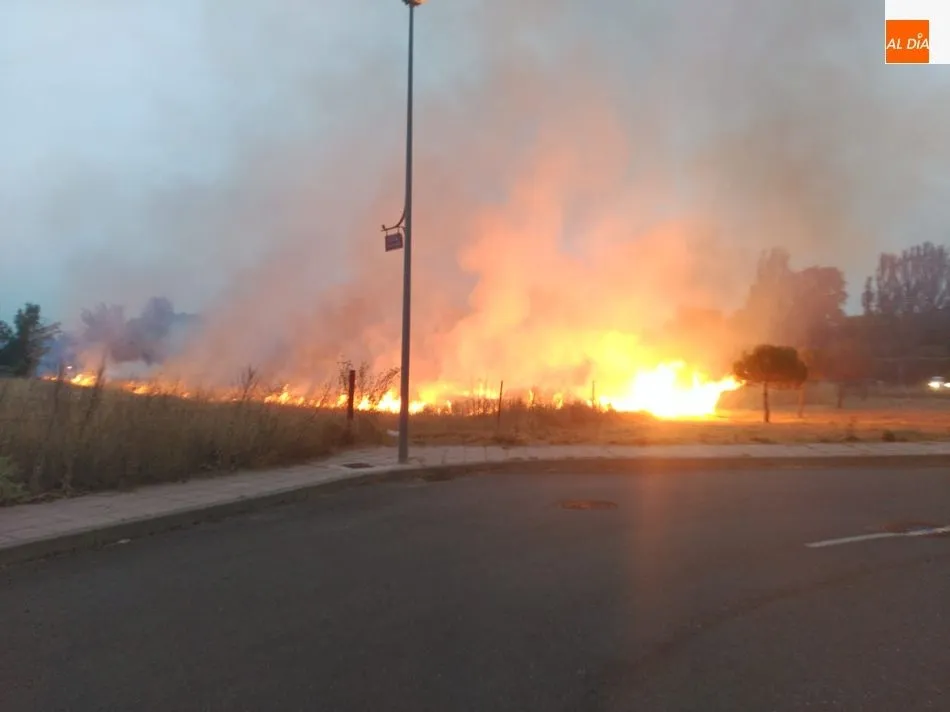 Foto 5 - Espectacular incendio al arder un veh&iacute;culo y traspasar el fuego a matorrales en la carretera de...