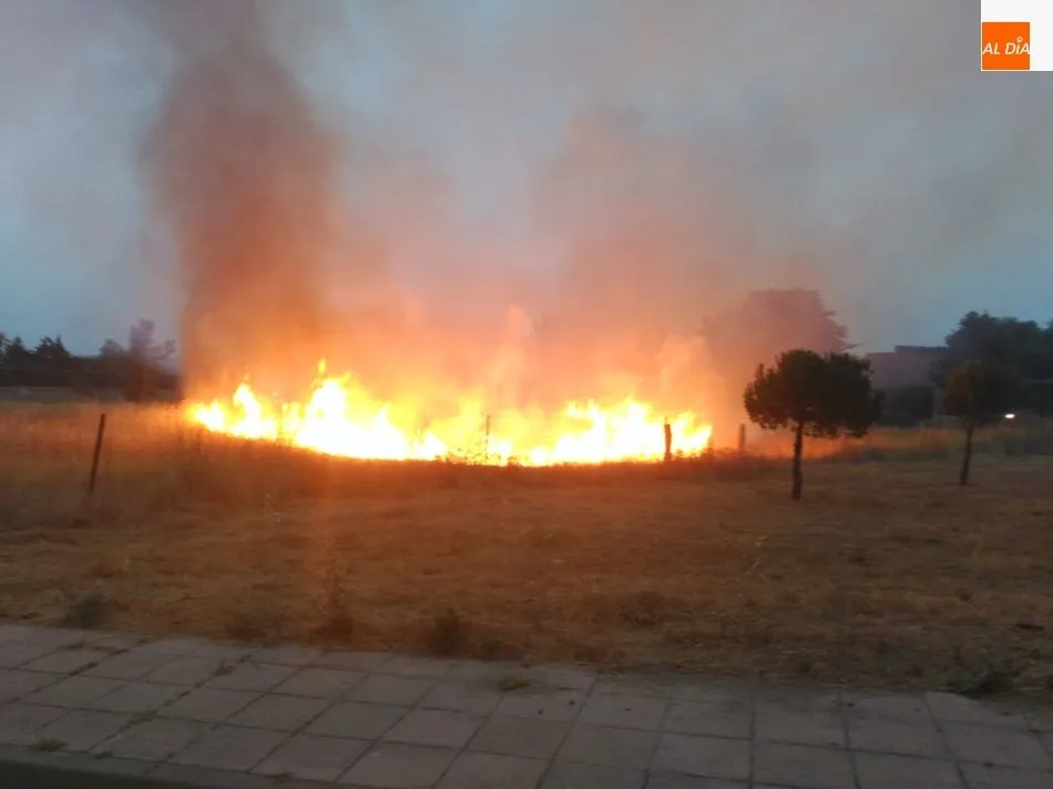 Foto 4 - Espectacular incendio al arder un veh&iacute;culo y traspasar el fuego a matorrales en la carretera de...