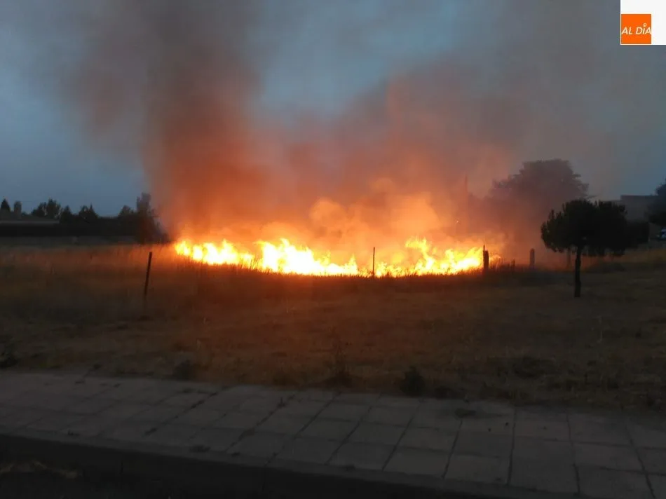 Foto 3 - Espectacular incendio al arder un veh&iacute;culo y traspasar el fuego a matorrales en la carretera de...