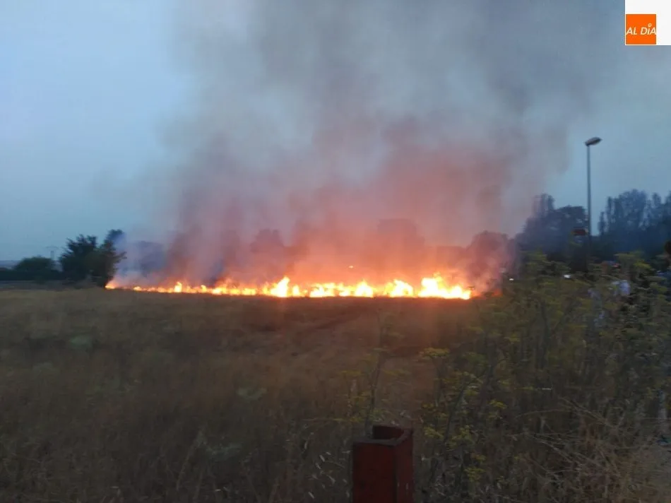 Foto 2 - Espectacular incendio al arder un veh&iacute;culo y traspasar el fuego a matorrales en la carretera de...