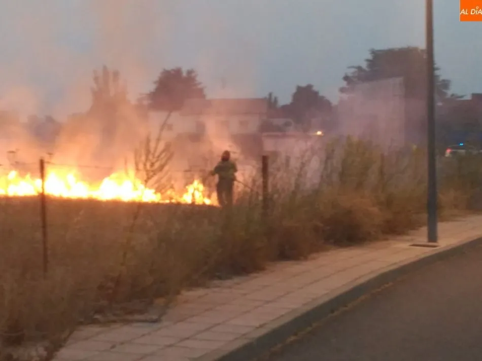 Foto 10 - Espectacular incendio al arder un veh&iacute;culo y traspasar el fuego a matorrales en la carretera de...