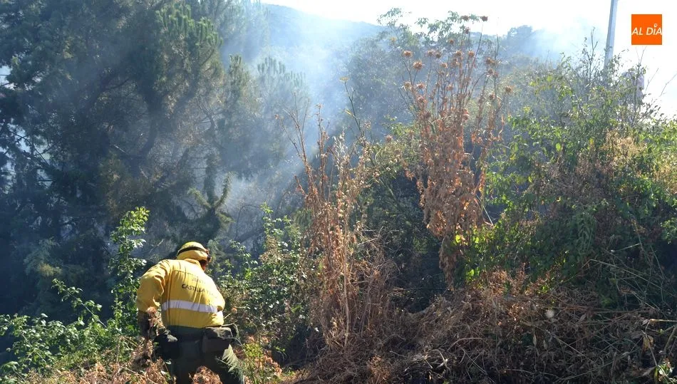 Dos incendios forestales han afectado hoy a la comarca en La Calzada de Béjar y Colmenar de...