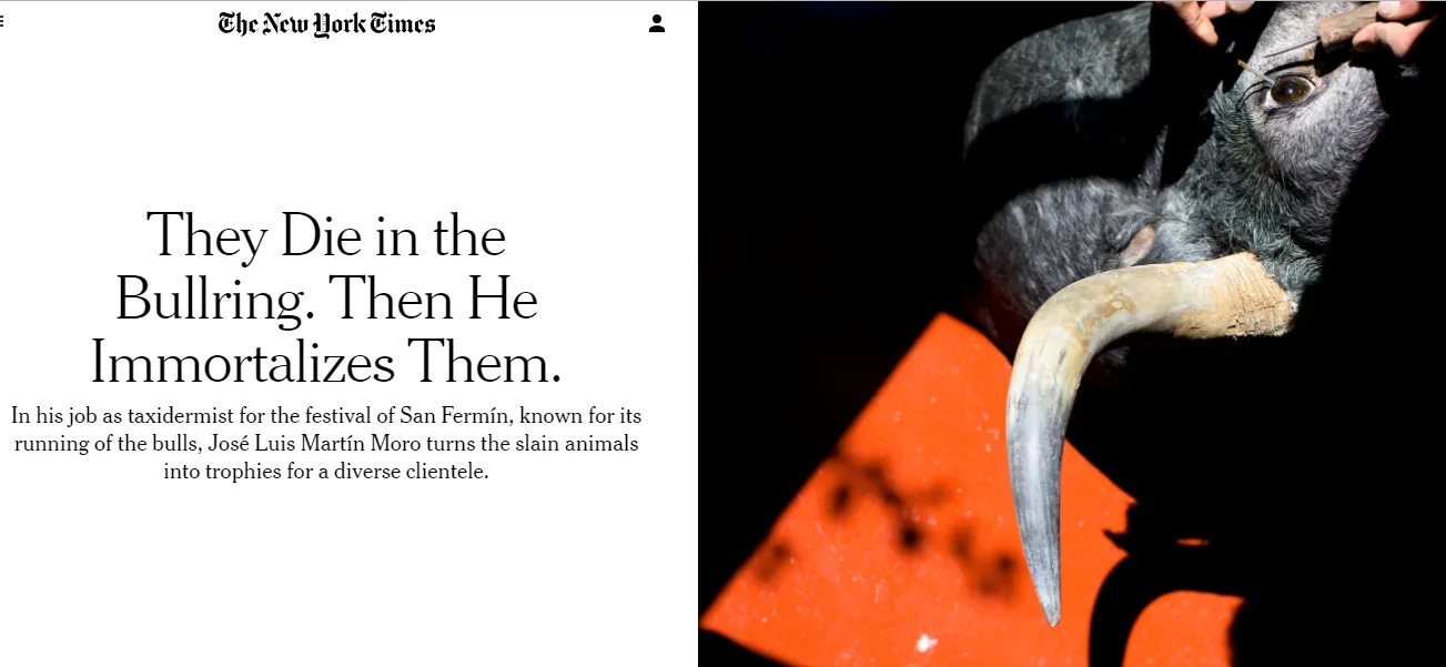 ‘The New York Times’ dedica un reportaje al trabajo del taxidermista José Luis Martín Moro  