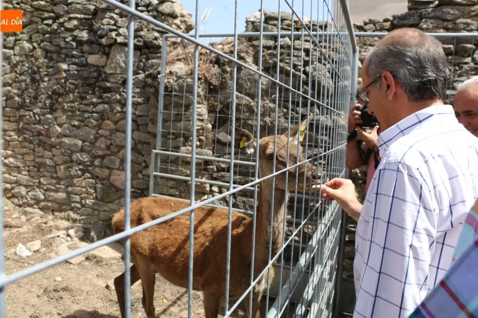 Foto 10 - Javier Iglesias destaca en Peralejos de Abajo el papel de las ferias para impulsar los n&uacute;cleos...