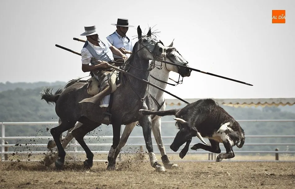 Imagen de la competición matinal | Fotos Adrián Martín