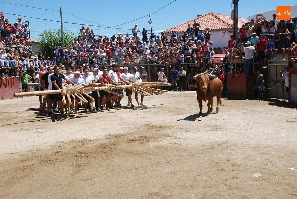 Foto 11 - Ya est&aacute;n aqu&iacute; las Capeias Arraianas  