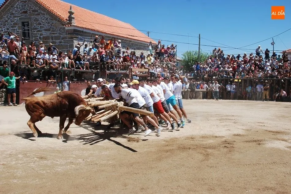 Foto 10 - Ya est&aacute;n aqu&iacute; las Capeias Arraianas  