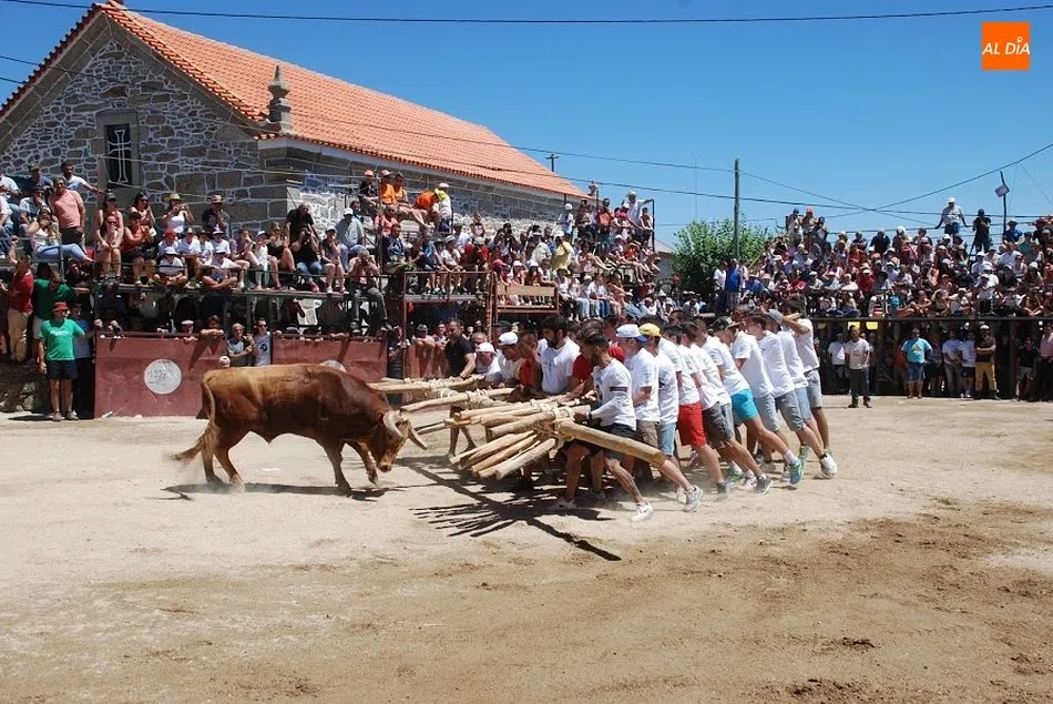 Foto 8 - Ya est&aacute;n aqu&iacute; las Capeias Arraianas  