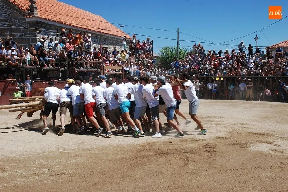 Foto 7 - Ya est&aacute;n aqu&iacute; las Capeias Arraianas  
