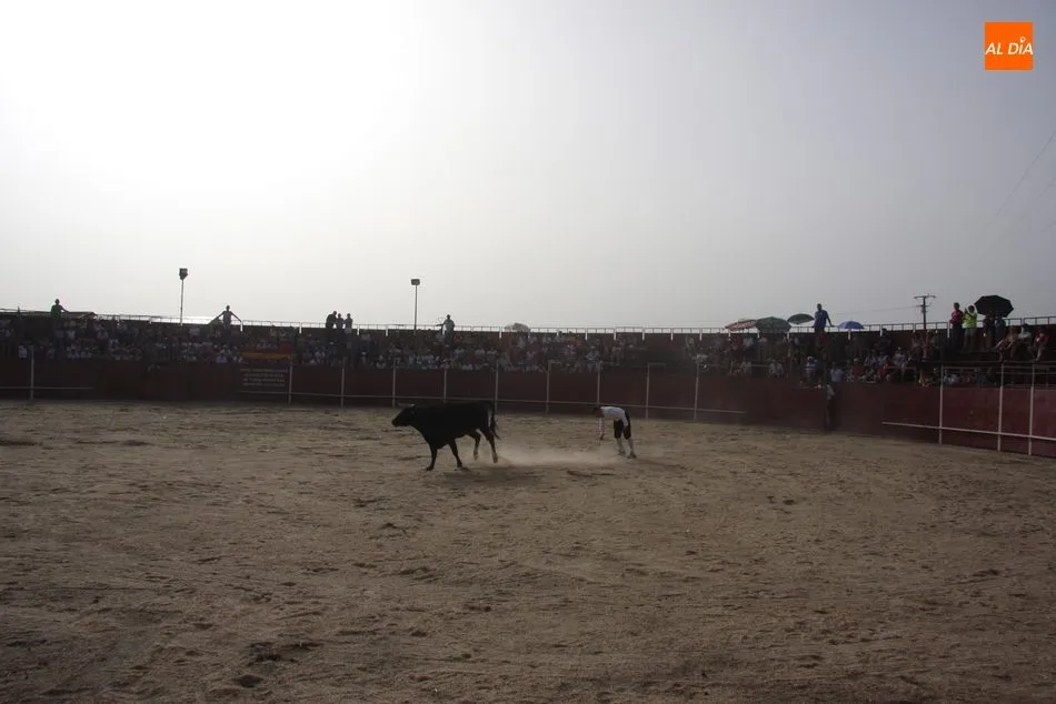 Foto 10 - Tarde taurina en Peralejos de Abajo de la mano de Arte Charro  
