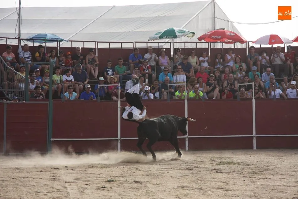 Foto 8 - Tarde taurina en Peralejos de Abajo de la mano de Arte Charro  