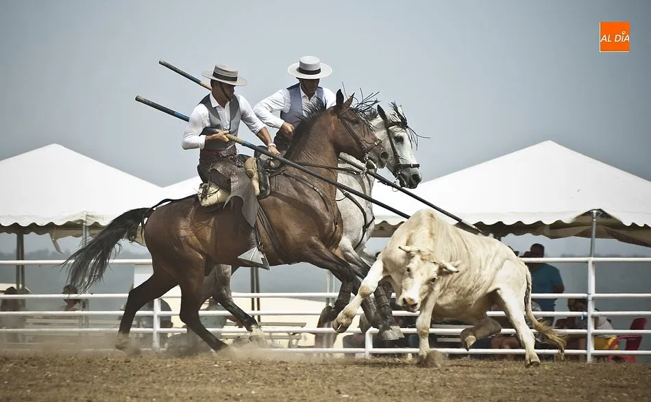 Foto 7 - La collera de Juan Pedro Torres y Mat&iacute;as Cabeza gana el igualad&iacute;simo 35&ordm; Concurso de Acoso y...