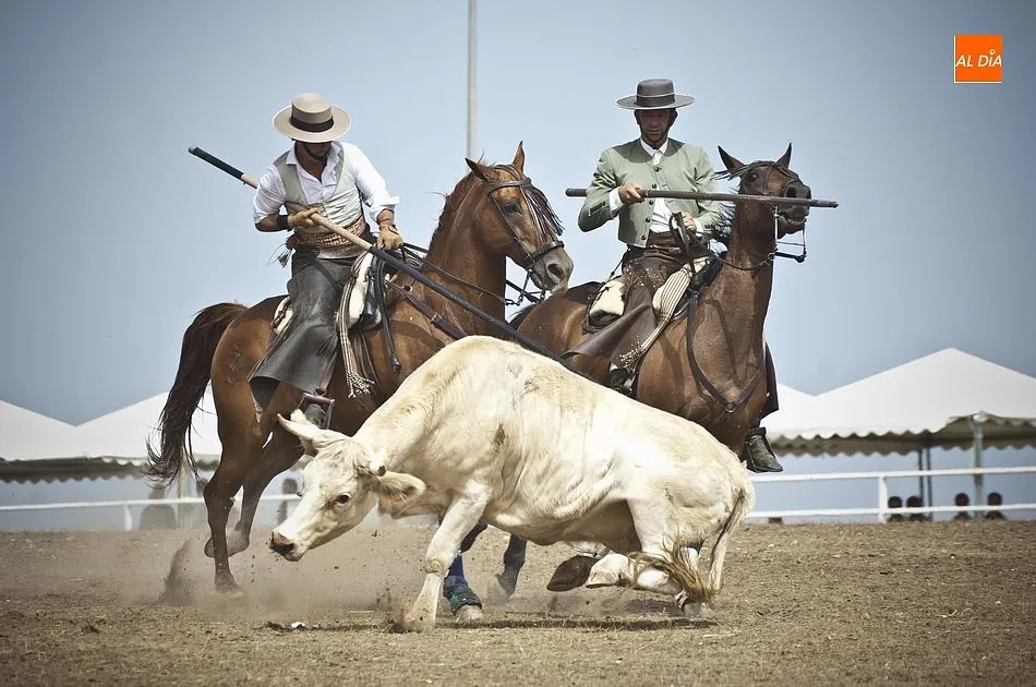 Foto 5 - La collera de Juan Pedro Torres y Mat&iacute;as Cabeza gana el igualad&iacute;simo 35&ordm; Concurso de Acoso y...