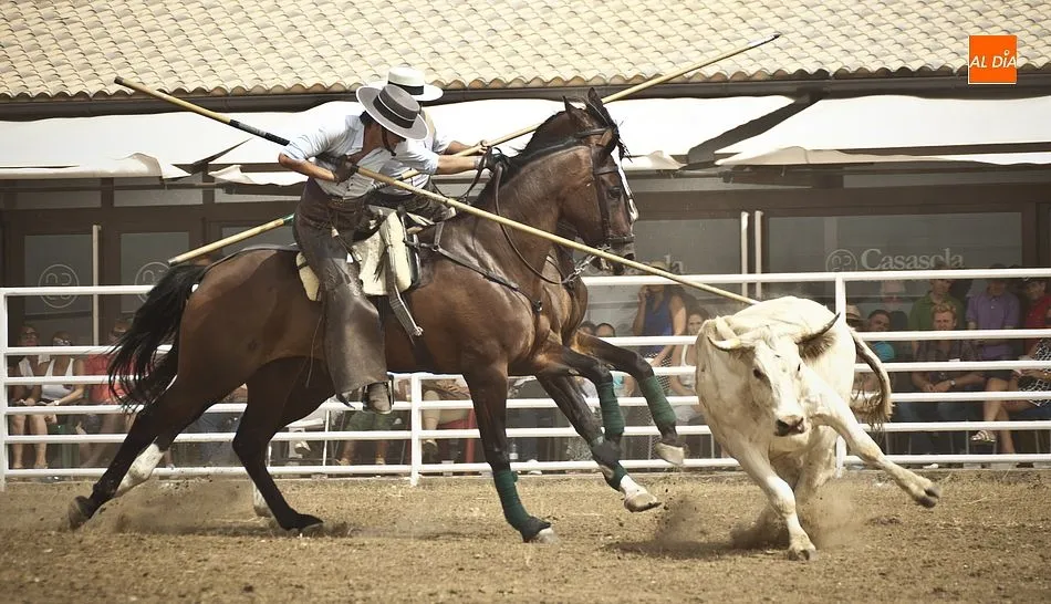Foto 3 - La collera de Juan Pedro Torres y Mat&iacute;as Cabeza gana el igualad&iacute;simo 35&ordm; Concurso de Acoso y...