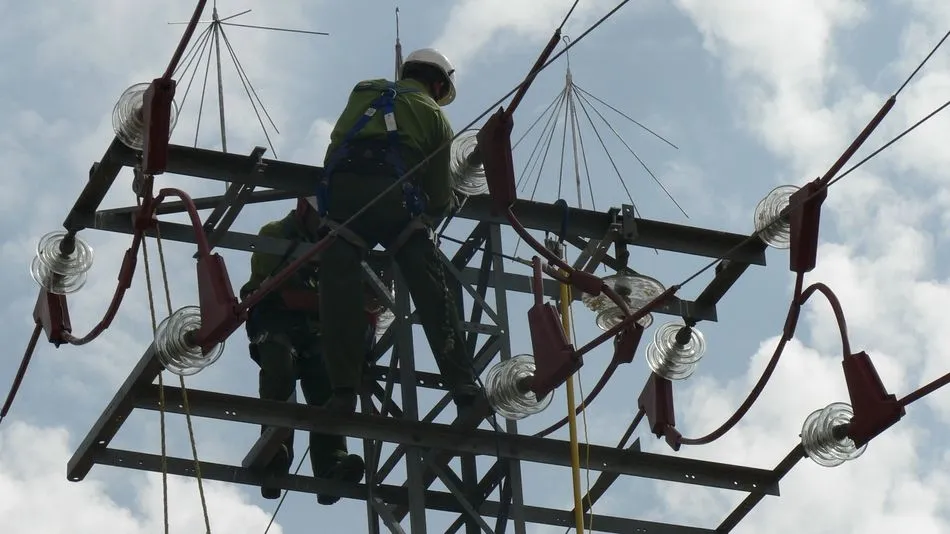 La compañía tiene previsto en 2018 renovar y adaptar cerca de 7.100 apoyos para evitar la electrocución de la avifauna.