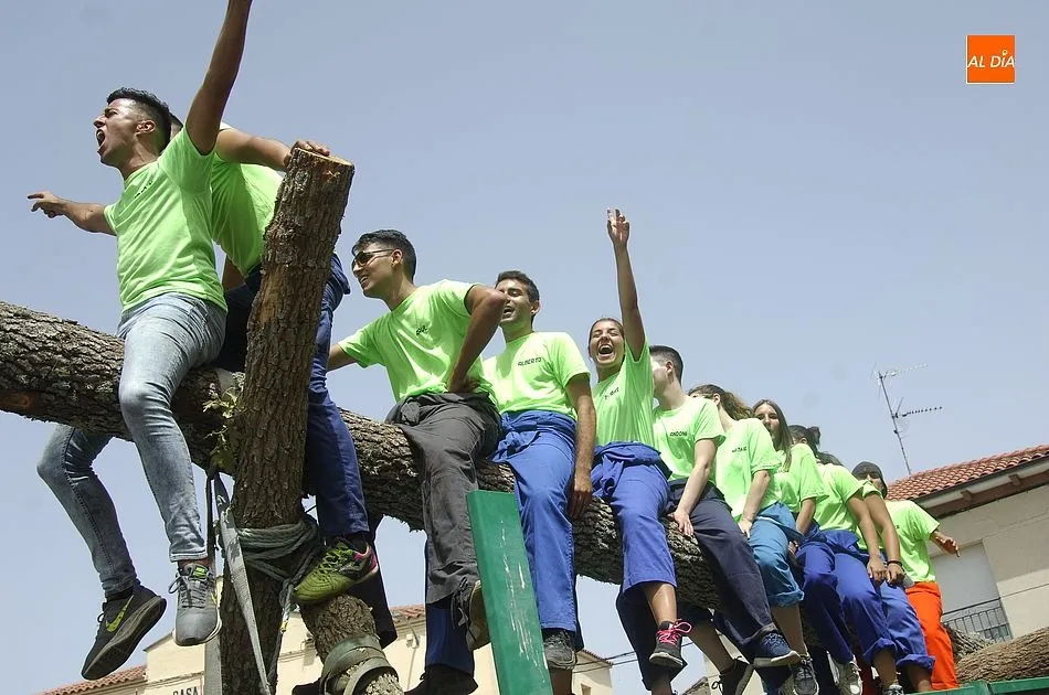 Los jóvenes hacen su entrada en El Sahugo encima del pino | Fotos Adrián Martín