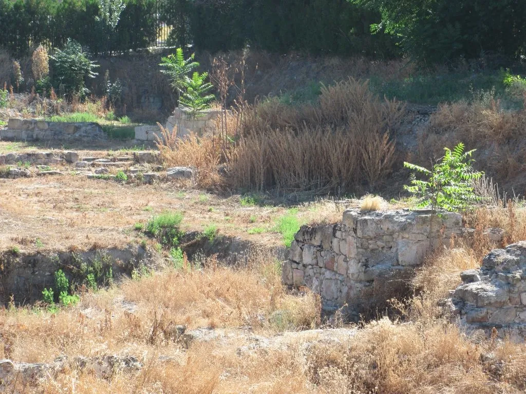 Foto 11 - La vegetaci&oacute;n se apodera de los restos arqueol&oacute;gicos situados a la intemperie  