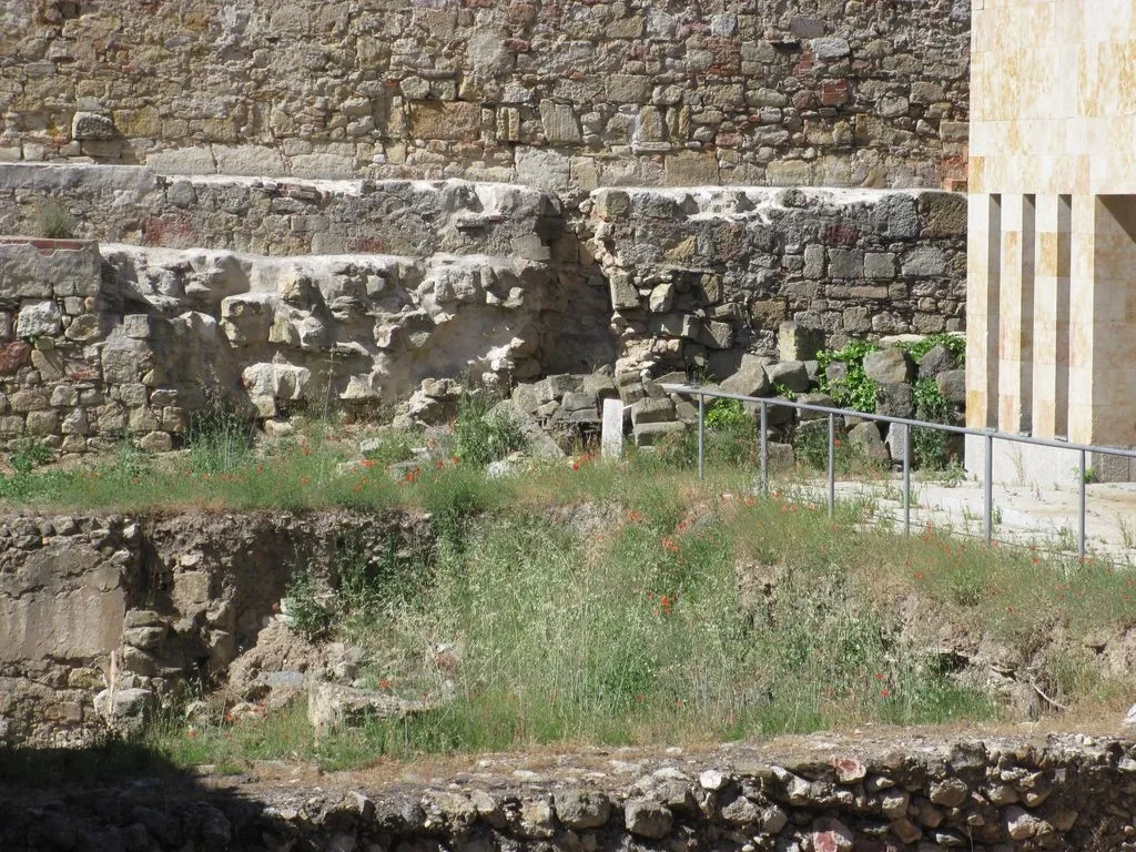 Foto 8 - La vegetaci&oacute;n se apodera de los restos arqueol&oacute;gicos situados a la intemperie  