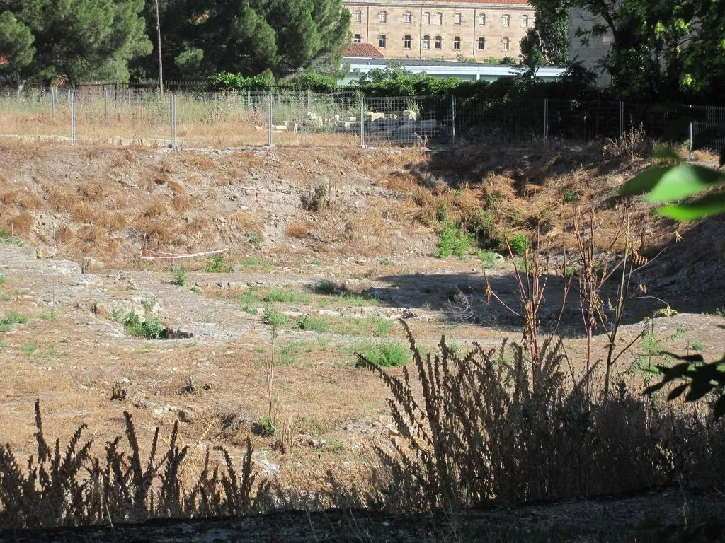 Foto 4 - La vegetaci&oacute;n se apodera de los restos arqueol&oacute;gicos situados a la intemperie  