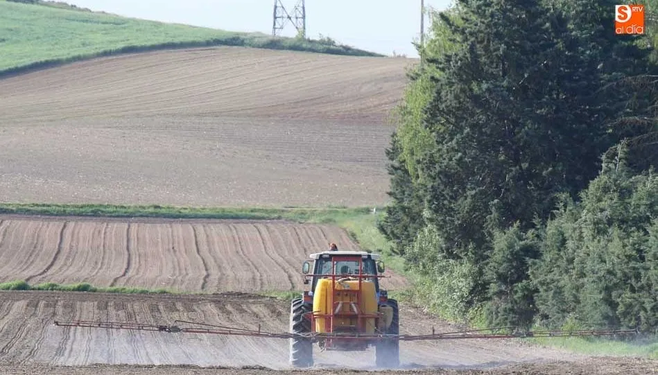 La Alianza pide habilitar una partida para la renovación de otro tipo de maquinaria agrícola, como en ediciones anteriores. Foto: Alberto Martín
